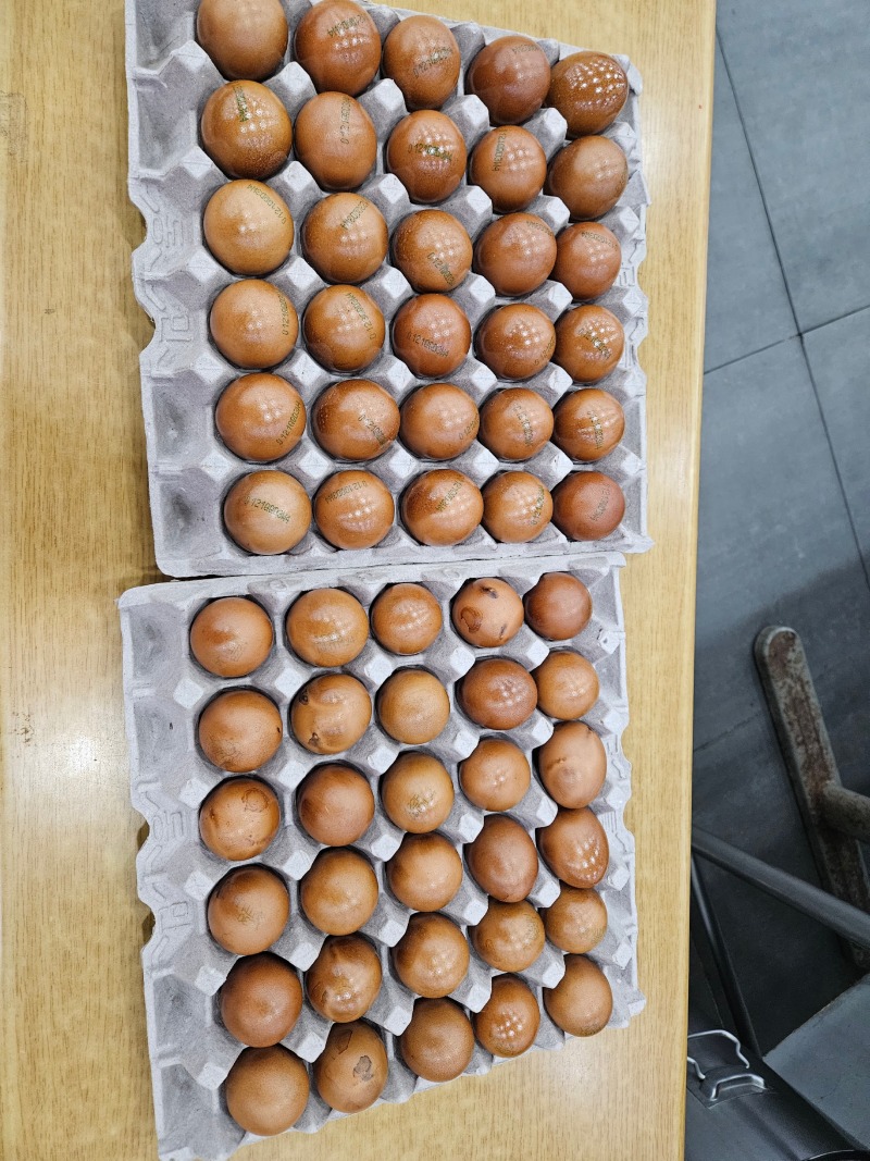 KakaoTalk_Photo_2026-03-04-16-49-19 004.jpeg