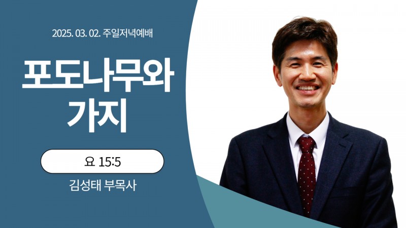 포도나무와 가지