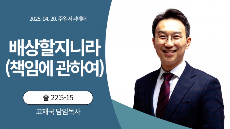 배상할지니라(책임에 관하여)