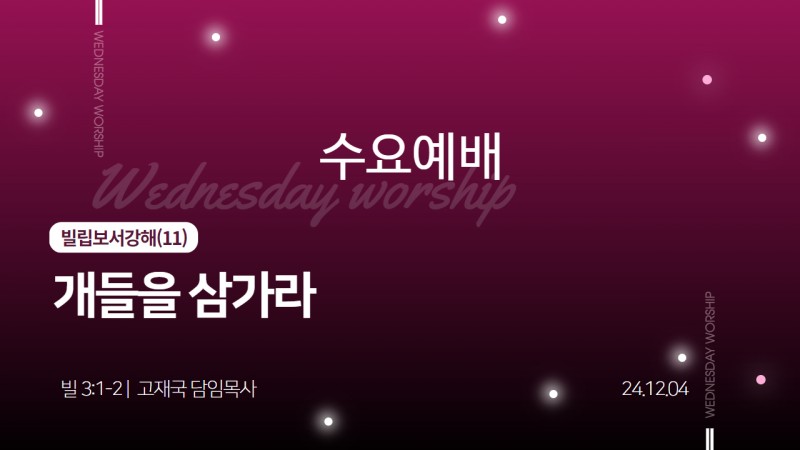개들을 삼가라