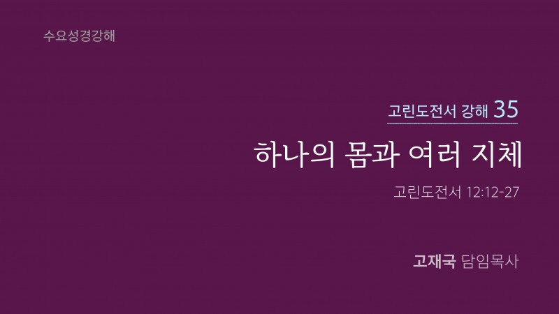 하나의 몸과 여러 지체