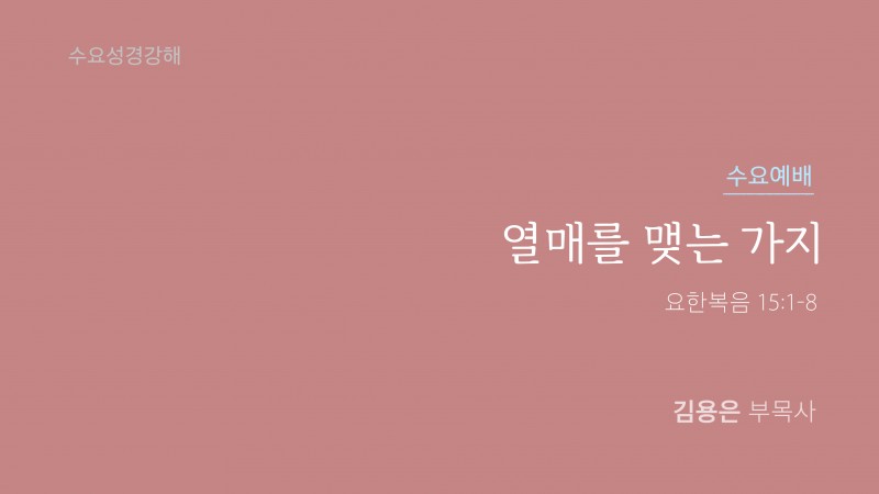 열매를 맺는 가지