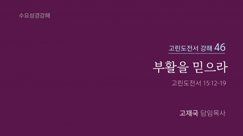 부활을 믿으라