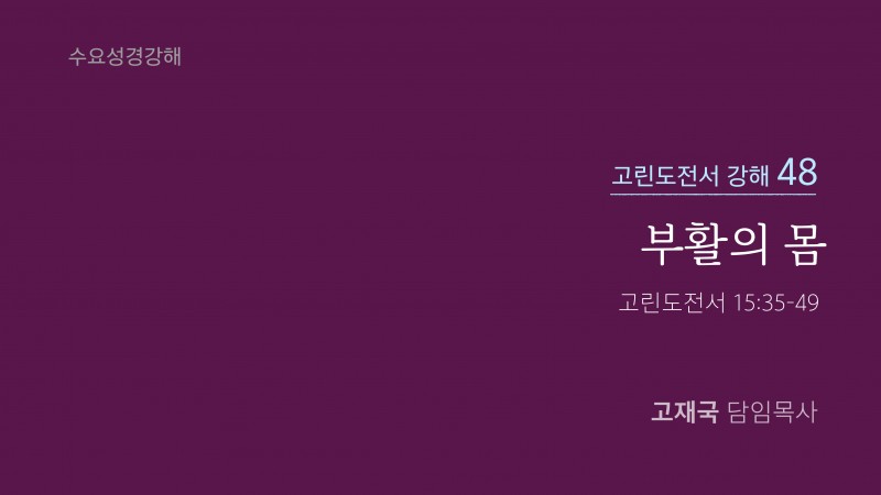 부활의 몸