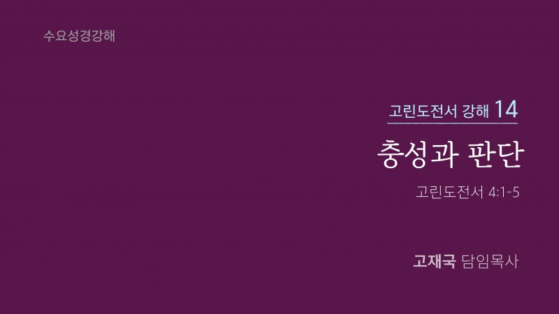 충성과 판단