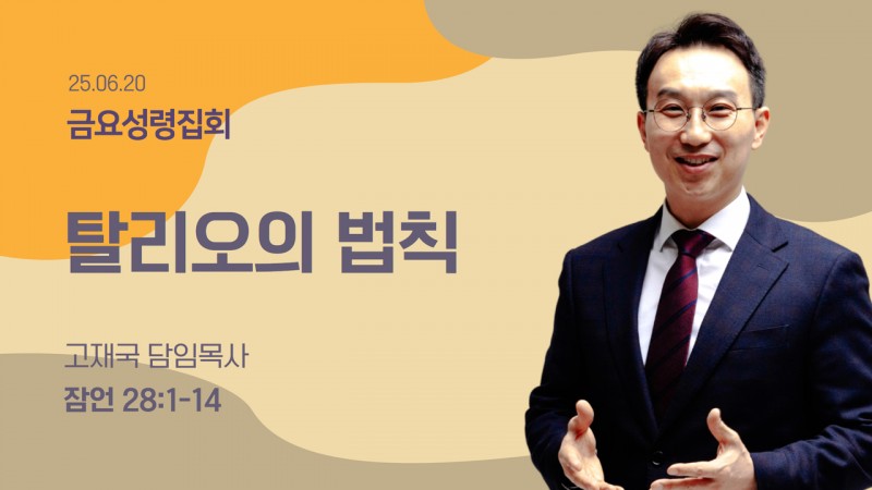 탈리오의 법칙