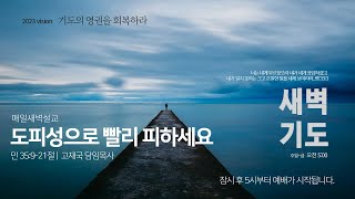 새벽기도회 썸네일.jpg
