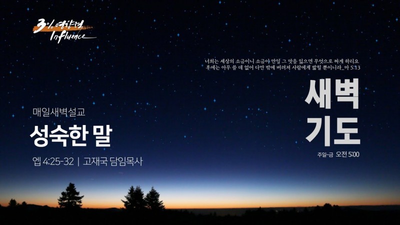 "성숙한 말"