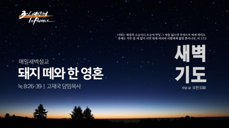 돼지 떼와 한 영혼