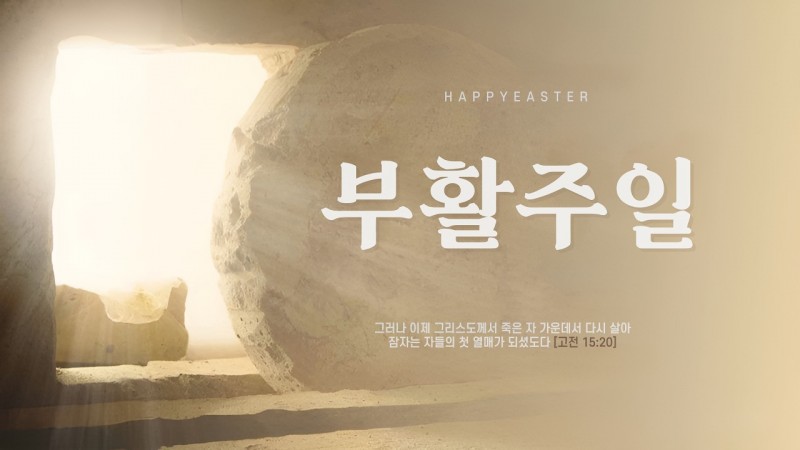 부활의 증인